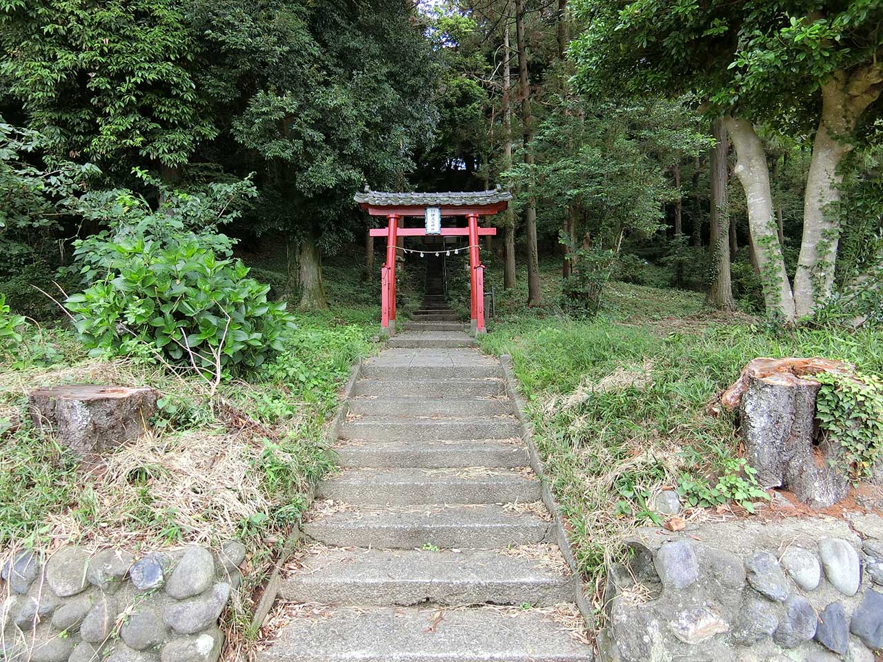 写真