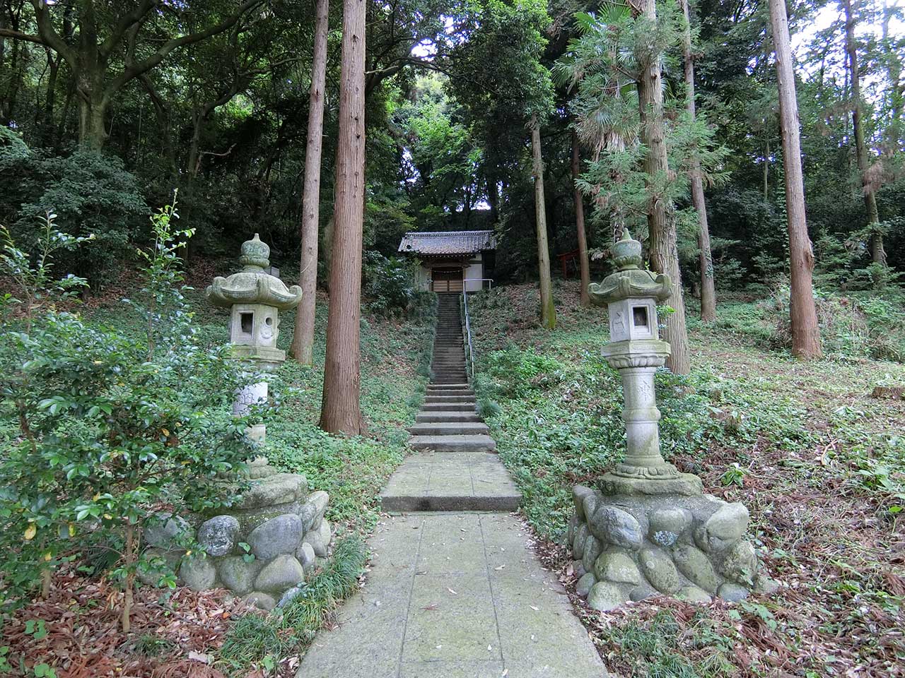 写真