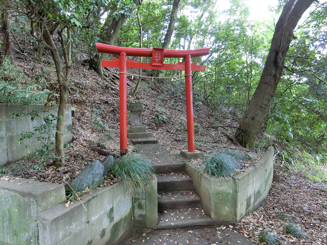 写真