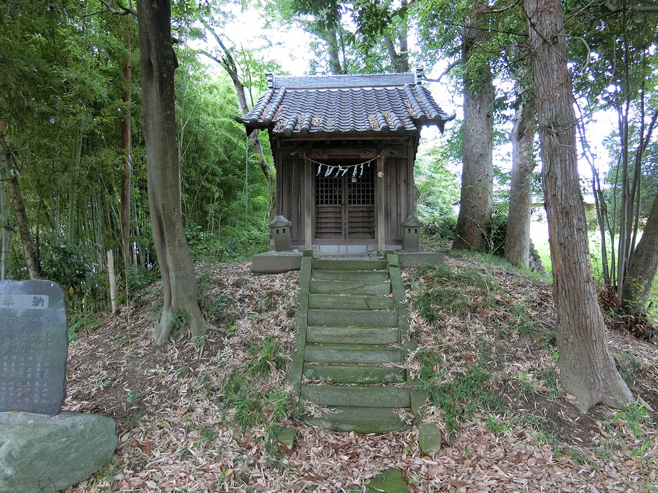 写真