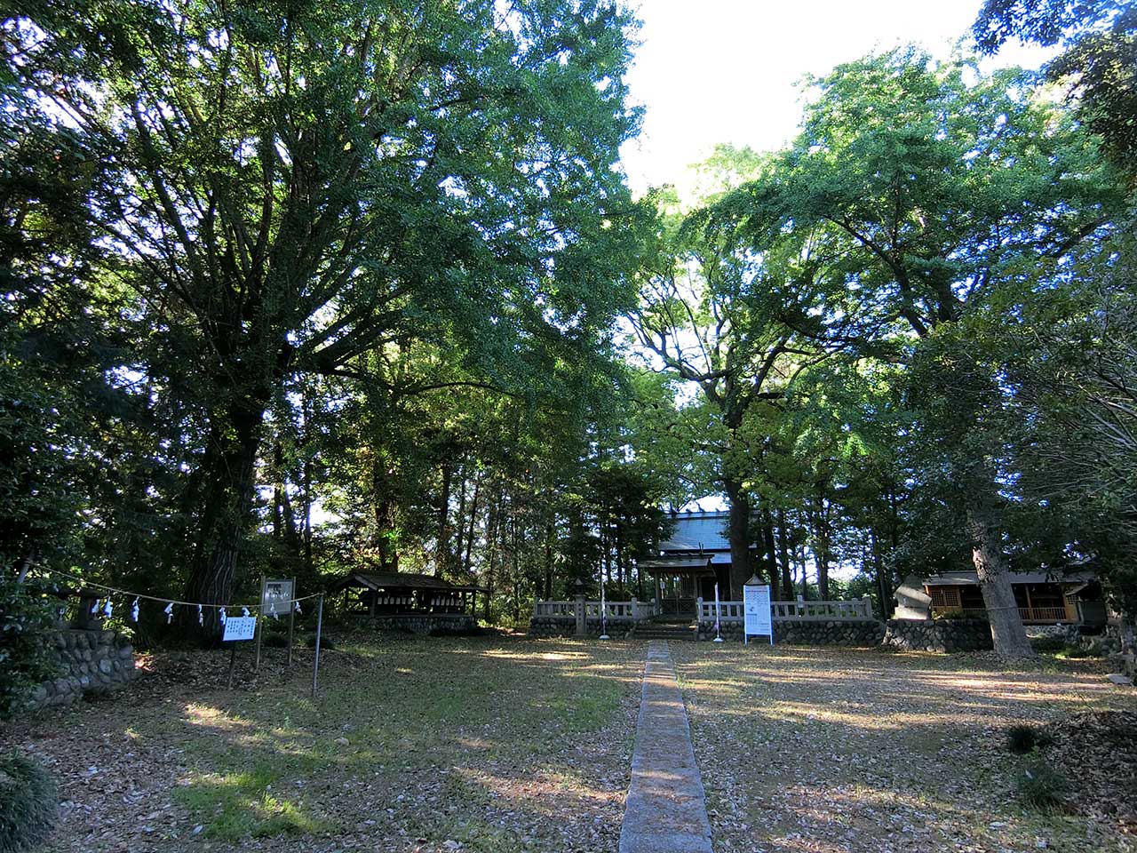 写真