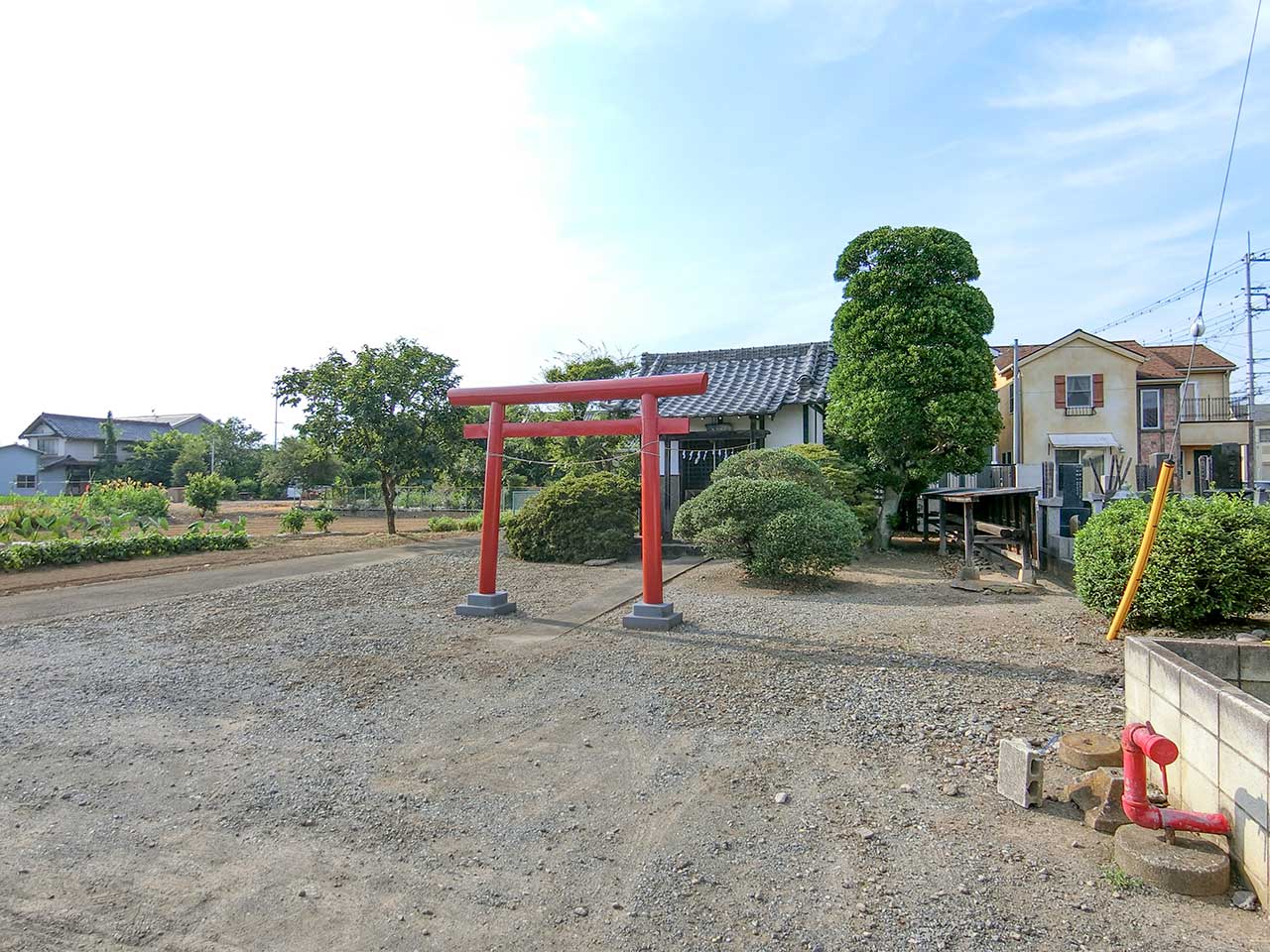 写真