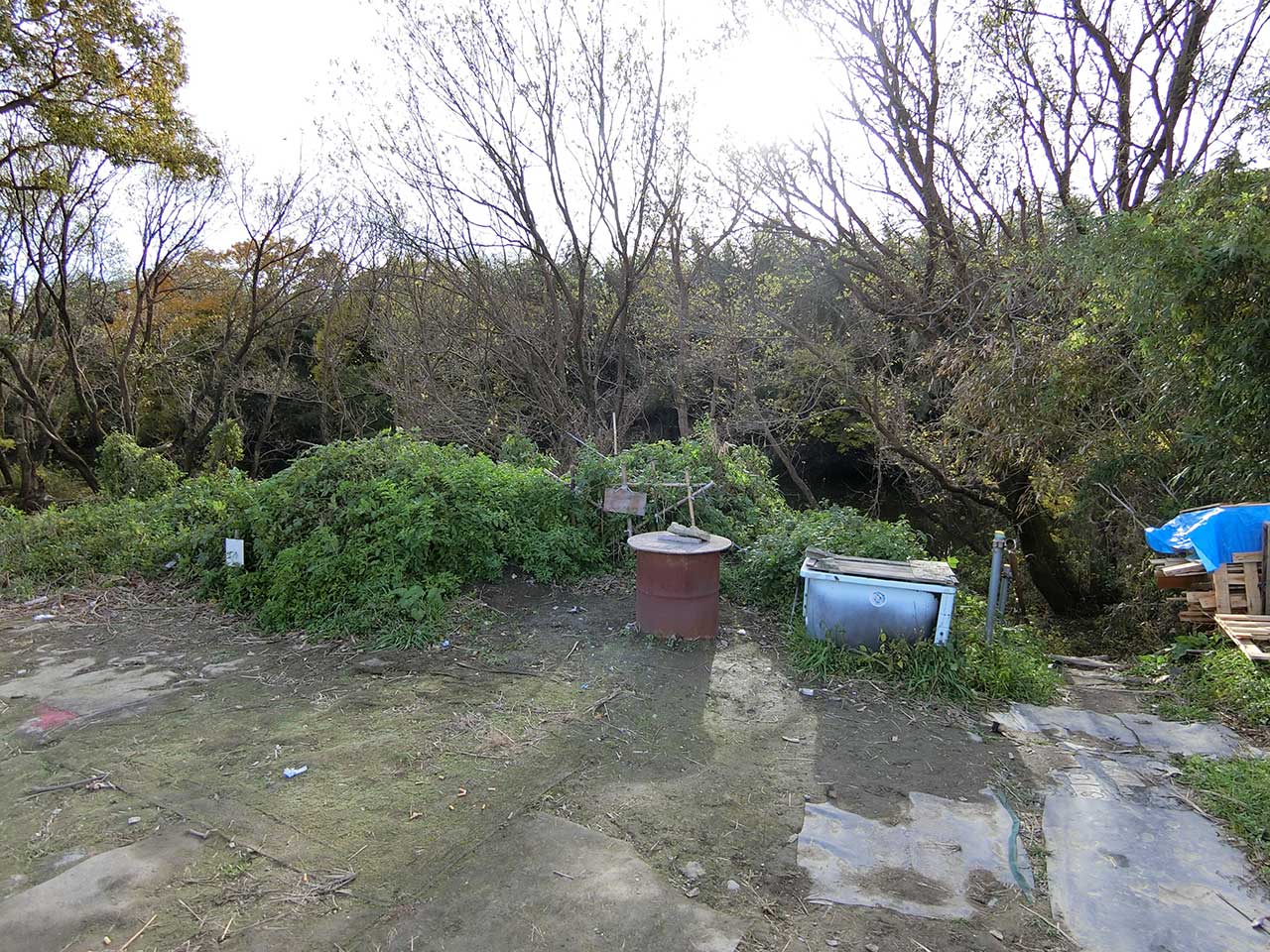写真