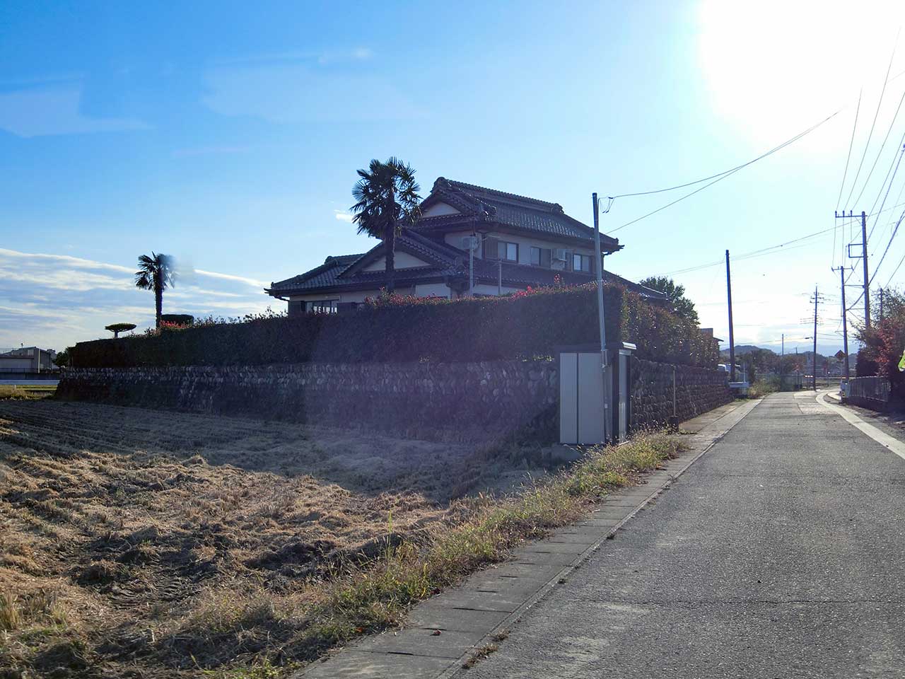 写真