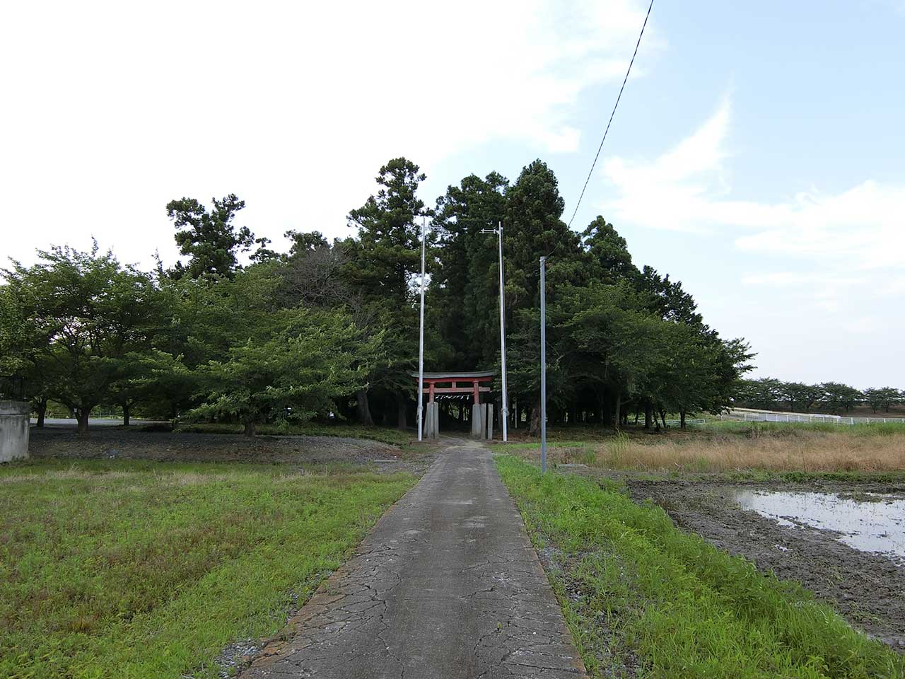 写真