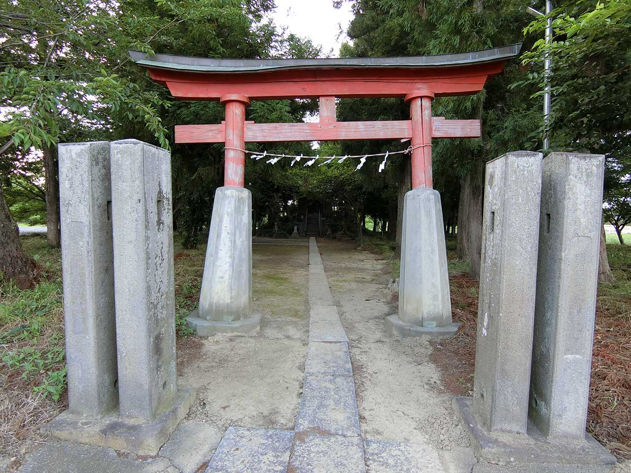 写真