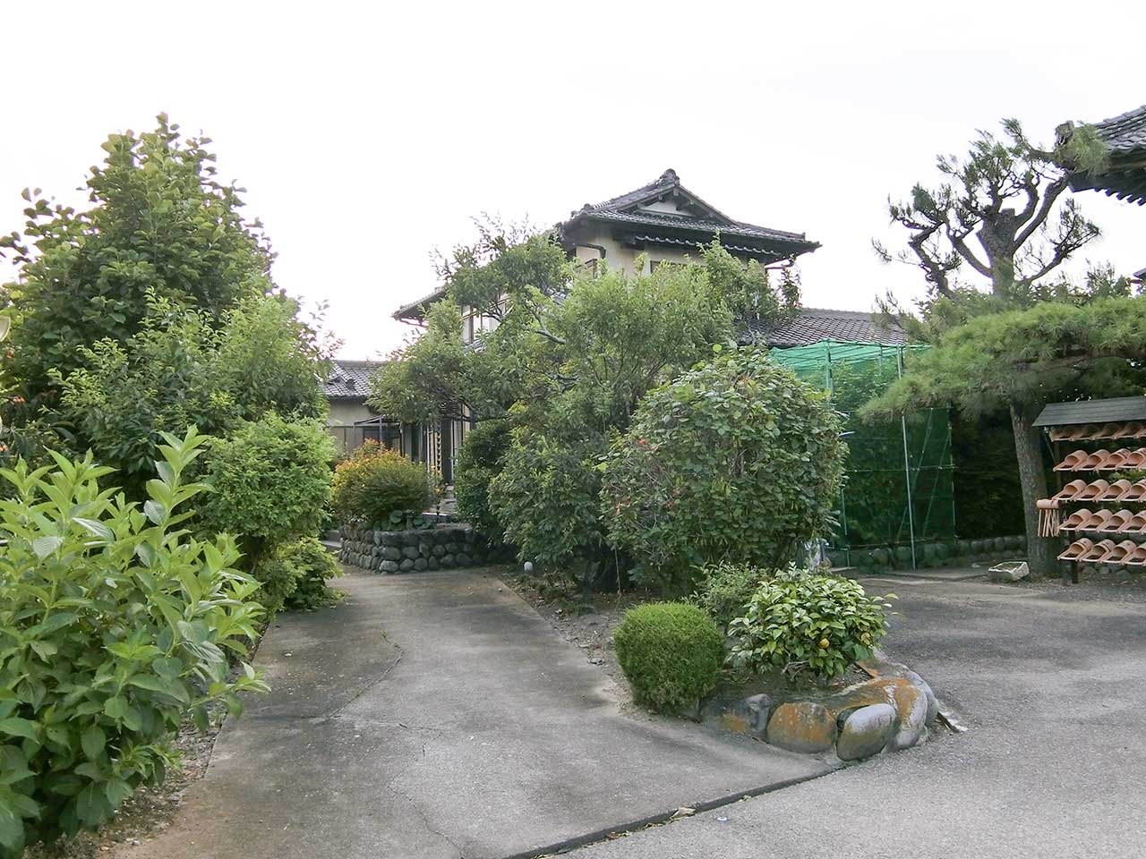 写真