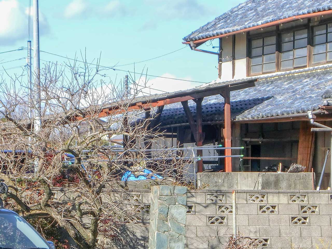 写真