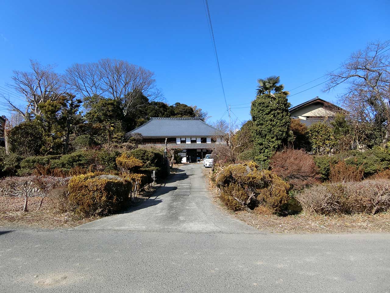 写真