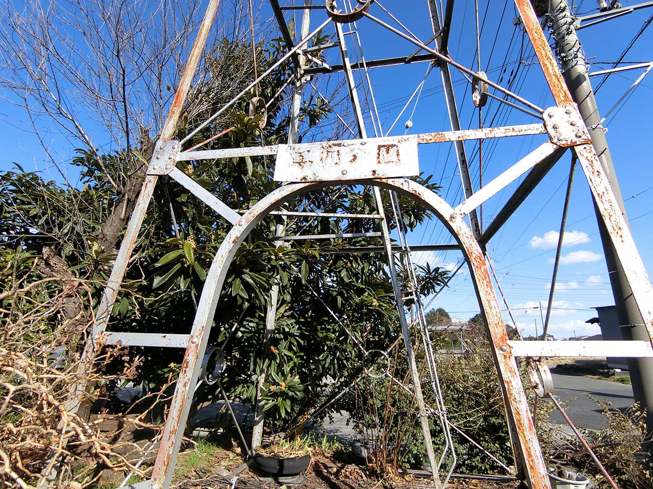 写真