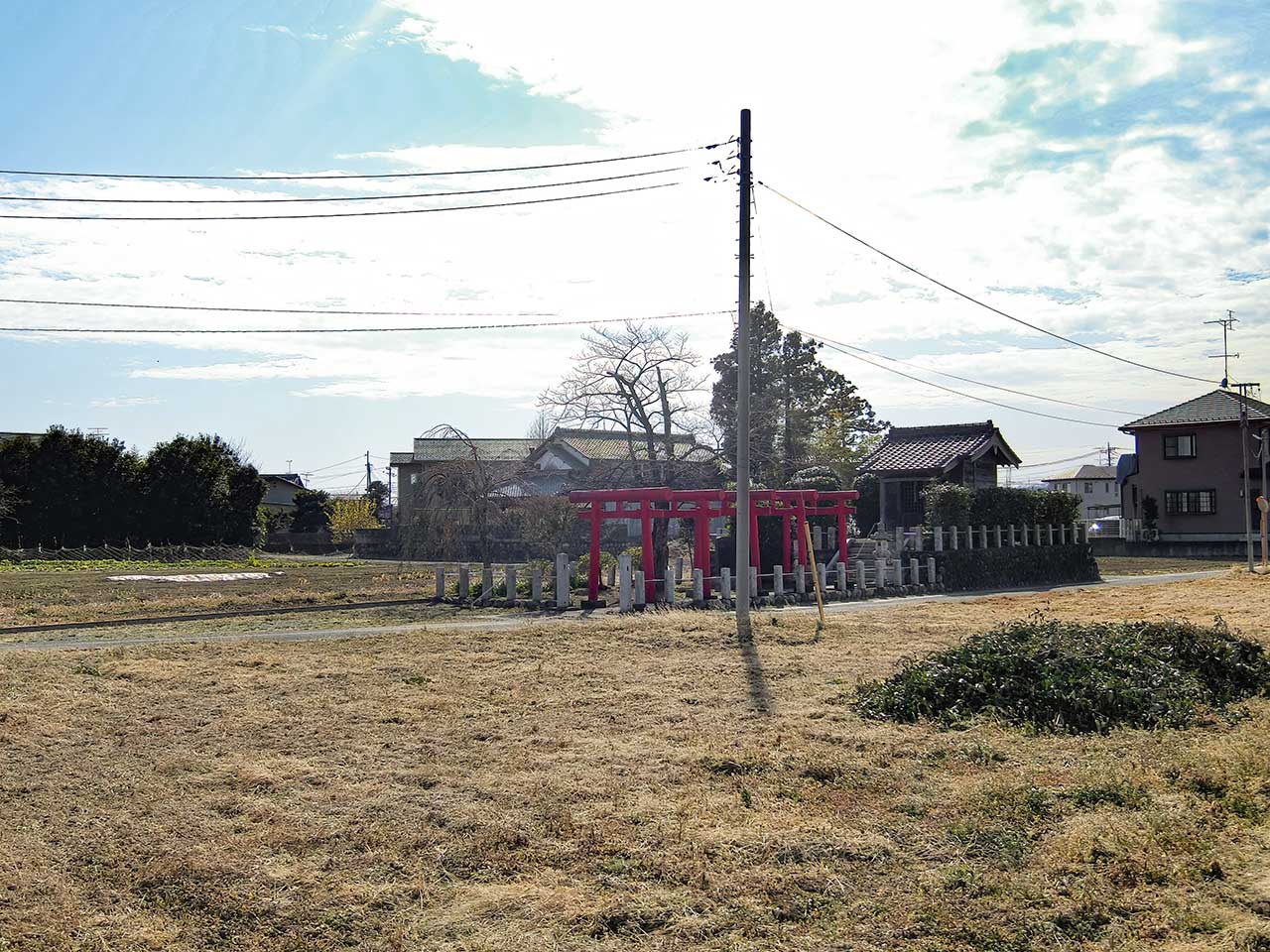 写真