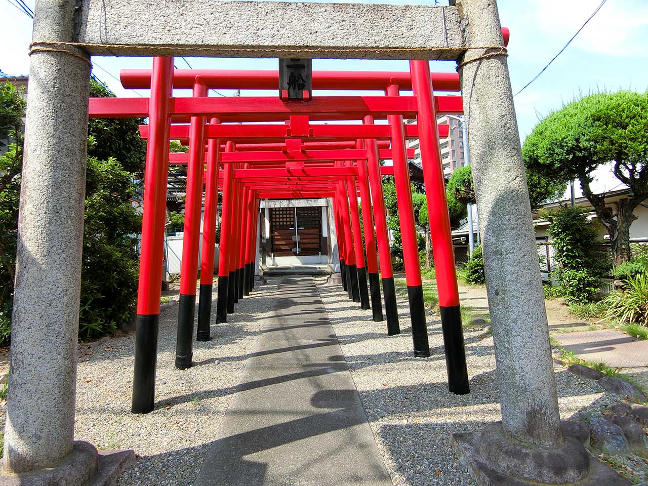 写真