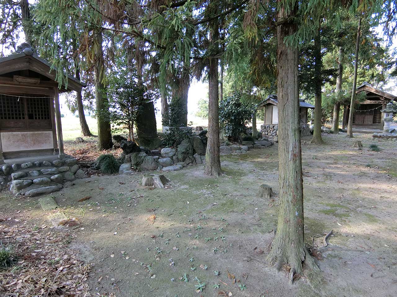 写真