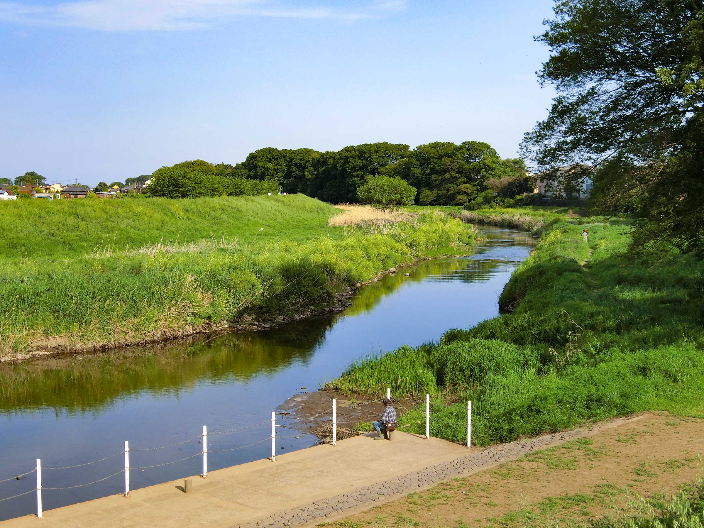 写真
